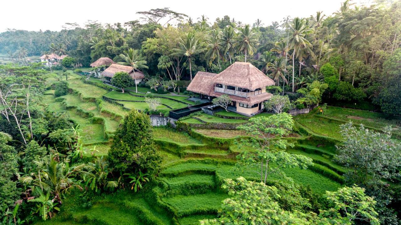 Villa Kelusa Ubud Kültér fotó