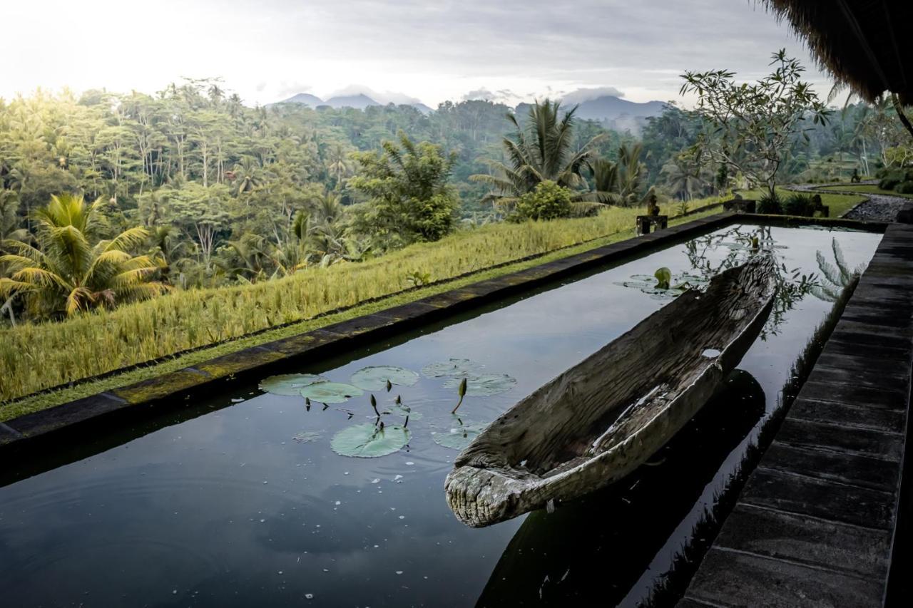 Villa Kelusa Ubud Kültér fotó