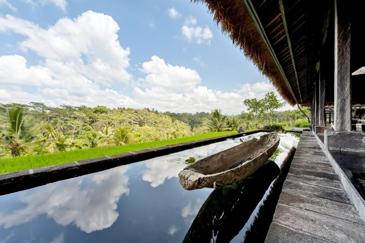 Villa Kelusa Ubud Kültér fotó