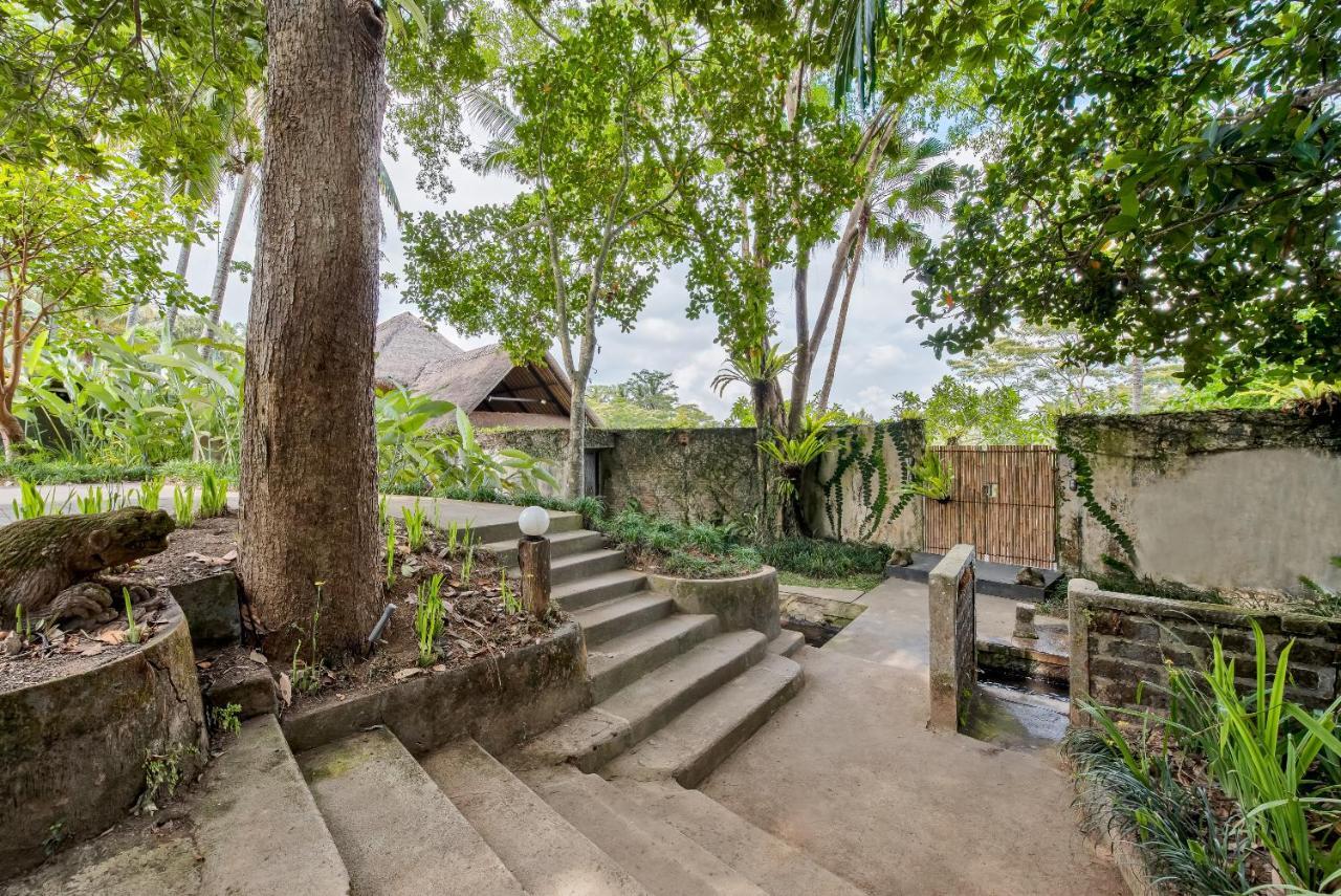 Villa Kelusa Ubud Kültér fotó