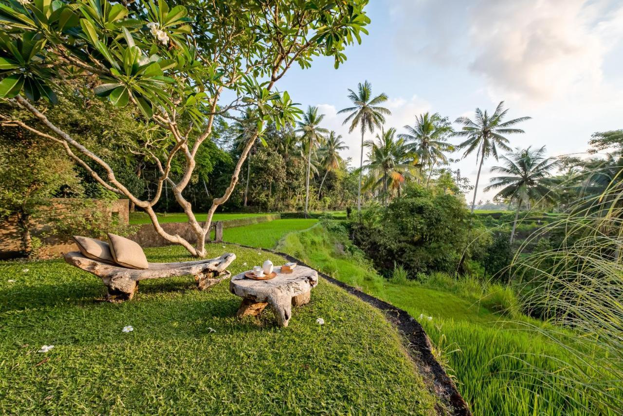 Villa Kelusa Ubud Kültér fotó
